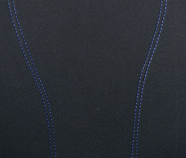 SCS31